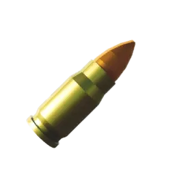 L - Standard Ammo