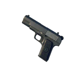 TT-33
