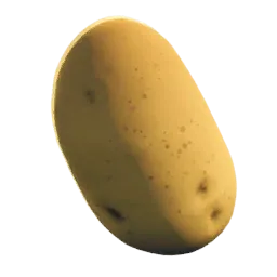 土豆