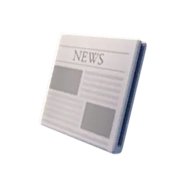 Newspaper
