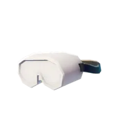 Ski Goggles