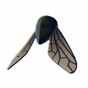 Fly Wings