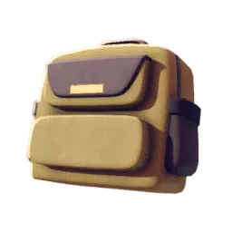 Decorative Bag