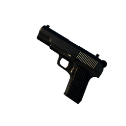 TT-33